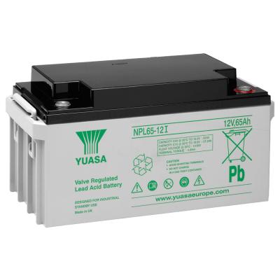 Yuasa Blei-Akku NPL65-12I, 10-12 Jahre 12V 65Ah (M6 Anschluss)