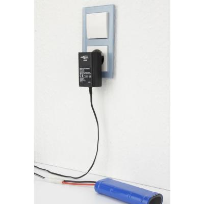 ANSMANN Ladegerät ACS48 für RC-Akkus 4,8 - 9,6 V